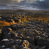 Buy canvas prints of Ingleborough in Winter from Ribblehead by Mark Sunderland