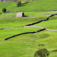 Buy canvas prints of Barn and Dry Stone Walls in Upper Nidderdale by Mark Sunderland