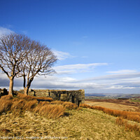 Buy canvas prints of Top Withins on Haworth Moor by Mark Sunderland