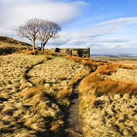 Buy canvas prints of The Bronte Way at Top Withins Haworth Moor by Mark Sunderland