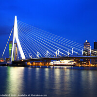 Buy canvas prints of Erasmus Bridge Rotterdam by Mark Sunderland