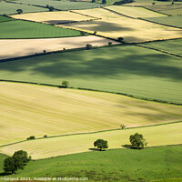 Buy canvas prints of Vale of York from Roseberry Topping by Mark Sunderland