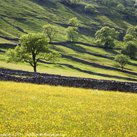 Buy canvas prints of Upper Wharfedale in Summer by Mark Sunderland