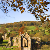 Buy canvas prints of Bolton Abbey in Autumn by Mark Sunderland