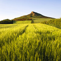 Buy canvas prints of Roseberry Topping by Mark Sunderland