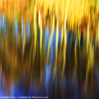 Buy canvas prints of Autumn Reflections Thruscross Reservoir by Mark Sunderland