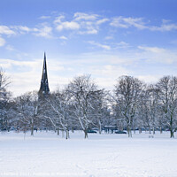 Buy canvas prints of The Stray in Winter Harrogate by Mark Sunderland