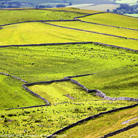 Buy canvas prints of Malhamdale from Gordale Scar by Mark Sunderland