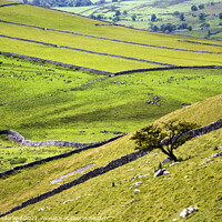 Buy canvas prints of Malhamdale from Gordale Scar by Mark Sunderland