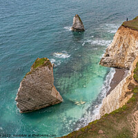 Buy canvas prints of Freshwater Bay by Drone by Paul Smith
