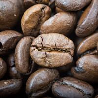 Buy canvas prints of Dark roasted coffee beans ,close up by Emils Vanags