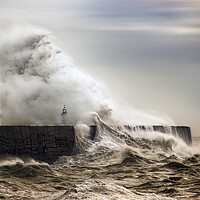 Buy canvas prints of Newhaven Lighthouse in Storm by Judith Stewart