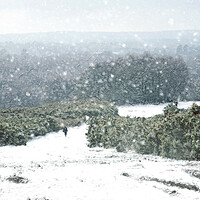 Buy canvas prints of A Winters Walk  by Judith Stewart