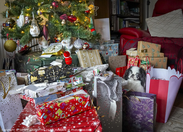 I can't find my presents Picture Board by GEOFF GRIFFITHS