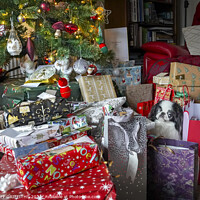 Buy canvas prints of I can't find my presents by GEOFF GRIFFITHS