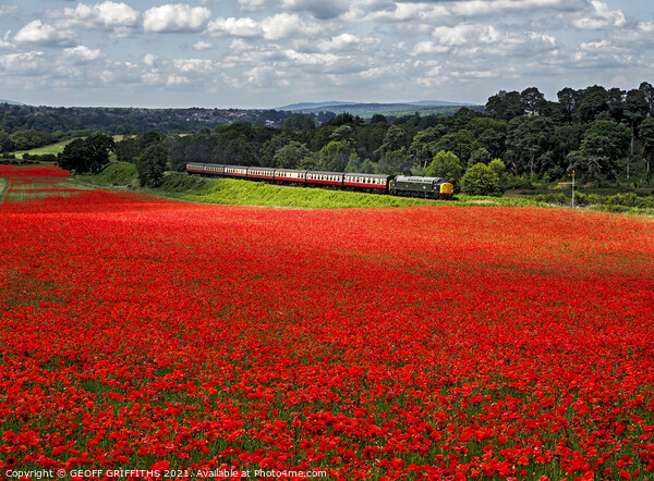 Class 40 40106 poppy fields Bewdley Severn Valley railway Picture Board by GEOFF GRIFFITHS