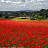 Buy canvas prints of Class 40 40106 poppy fields Bewdley Severn Valley railway by GEOFF GRIFFITHS