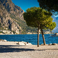 Buy canvas prints of Limone Sul Garda - Beach view with boat by Jonathan Campbell