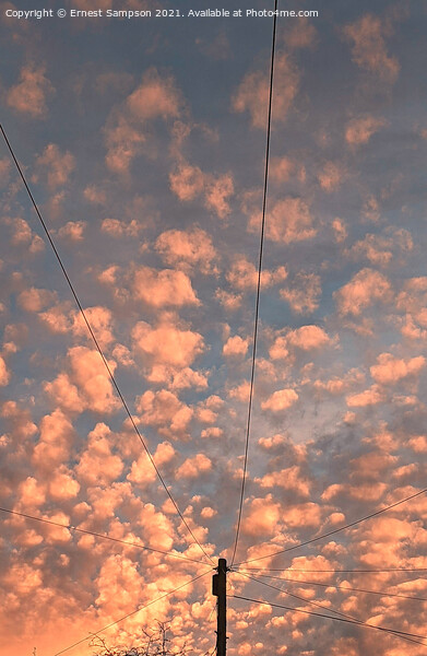  Altocumulus Sunset Clouds, Redruth Cornwall UK. Picture Board by Ernest Sampson