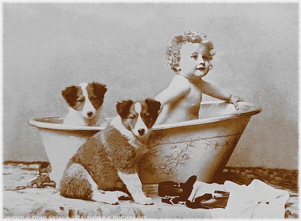Two Dogs With Young Child In Bathtub . Picture Board by Ernest Sampson