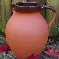 Buy canvas prints of Large Studio Pottery Jug Surrounded By Acer leaves by Ernest Sampson
