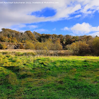 Buy canvas prints of autumn landscape with trees A view from Woodcrest Rathcline road Lanesborough Ireland by Anish Punchayil Sukumaran