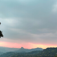 Buy canvas prints of a view of forest in and orange sunset , a view from munnar kerla india by Anish Punchayil Sukumaran