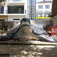 Buy canvas prints of , giant turtle sculpture in Bali beach ,  by Anish Punchayil Sukumaran