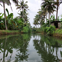 Buy canvas prints of clam river and coconut trees on both side by Anish Punchayil Sukumaran