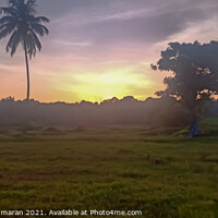 Buy canvas prints of  orange Sunset in Kerala, cloudy sky and coconut tree by Anish Punchayil Sukumaran