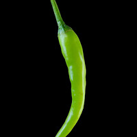 Buy canvas prints of fresh green chili in black background by Anish Punchayil Sukumaran