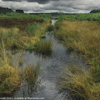 Buy canvas prints of Between storms at Blakemere Moss by Alan Dunnett