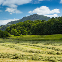 Buy canvas prints of Harter Fell on a summers day at harvest by Alan Dunnett