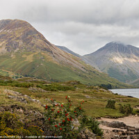 Buy canvas prints of Yewbarrow and Great Gable by Alan Dunnett