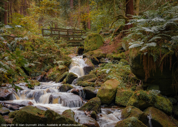 Wyming Brook in autumn Picture Board by Alan Dunnett