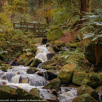 Buy canvas prints of Wyming Brook in autumn by Alan Dunnett
