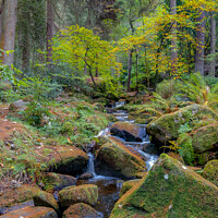Buy canvas prints of Autumn arrives at Wyming Brook by Alan Dunnett