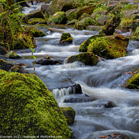 Buy canvas prints of Wyming Brook closeup by Alan Dunnett