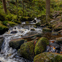 Buy canvas prints of Wyming Brook weaving by Alan Dunnett