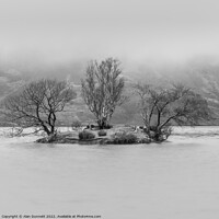 Buy canvas prints of Tree Thirds by Alan Dunnett