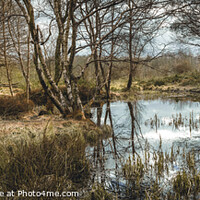 Buy canvas prints of Winter Pond panoramic by Alan Dunnett