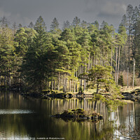 Buy canvas prints of Reflect at Tarn Hows' by Alan Dunnett