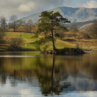 Buy canvas prints of Alone at Tarn Hows by Alan Dunnett