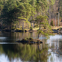 Buy canvas prints of Close reflections at Tarn Hows' by Alan Dunnett