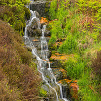 Buy canvas prints of Oakenclough Brook- by Alan Dunnett