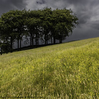 Buy canvas prints of Outdoor field by Alan Dunnett