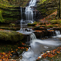 Buy canvas prints of Scaleber Force in full by Alan Dunnett
