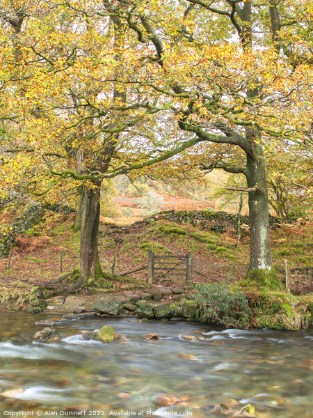 Autumn River Crossing  Picture Board by Alan Dunnett