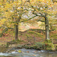 Buy canvas prints of Autumn River Crossing  by Alan Dunnett
