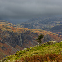 Buy canvas prints of Above the Eskdale Valley by Alan Dunnett